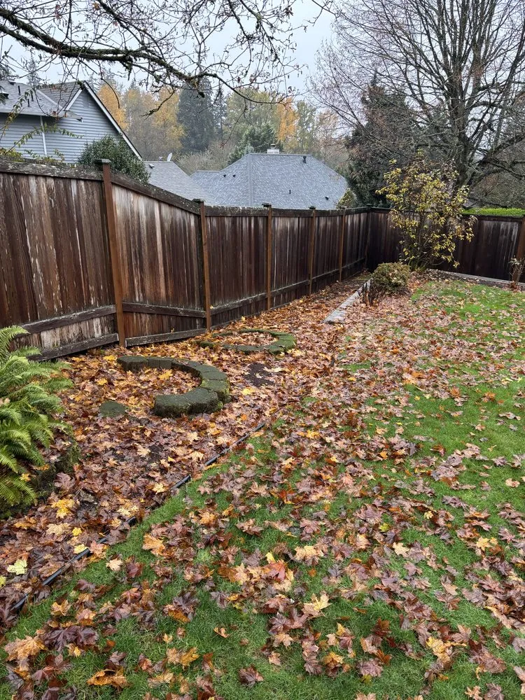 Affordable lawn mowing service for outdoor upgrades across Seattle, WA - DH Hauling and Demo