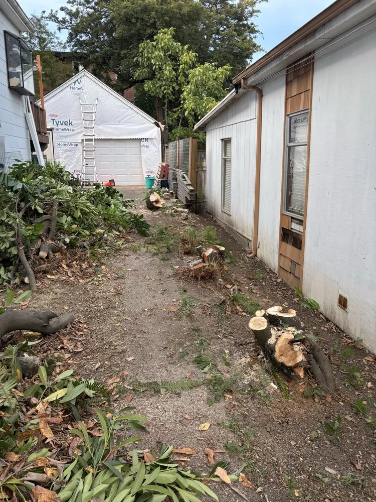 Local lawn mowing service for beautiful yards across Seattle, WA - DH Hauling and Demo