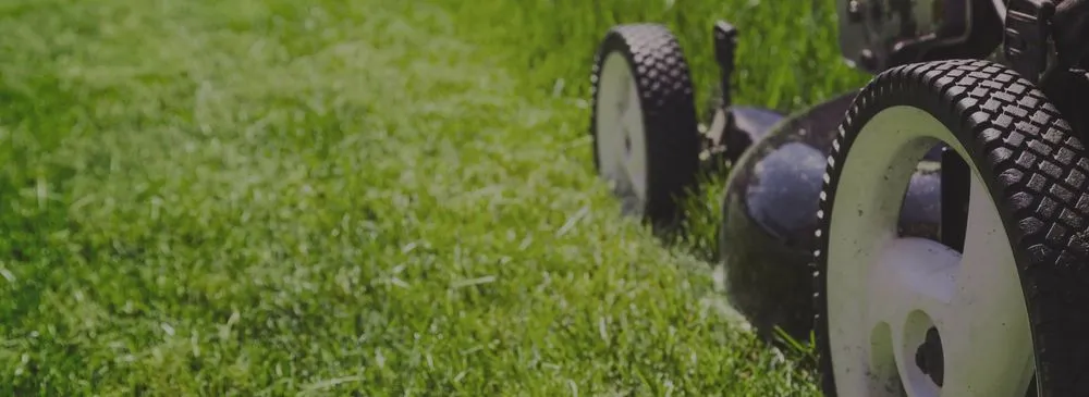 Custom lawn care service for residential properties in Middleburg, FL by D&H Jax Service