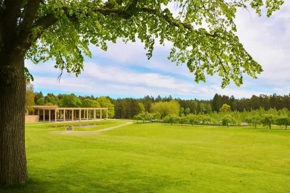 Trusted landscaping services in Middleburg, FL by D&H Jax Service