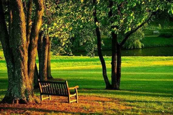 Professional lawn mowing service for residential properties across Middleburg, FL - D&H Jax Service