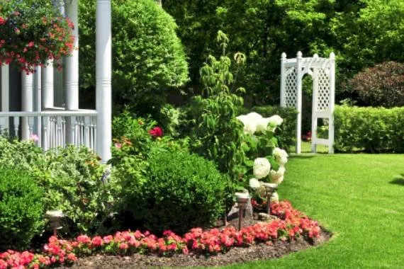 Professional lawn mowing service in Middleburg, FL by D&H Jax Service