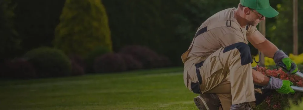 Professional yard cleanup service for beautiful yards across Middleburg, FL - D&H Jax Service