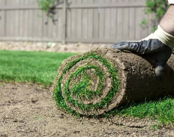 Top-rated yard maintenance experts serving Middleburg, FL - D&H Jax Service