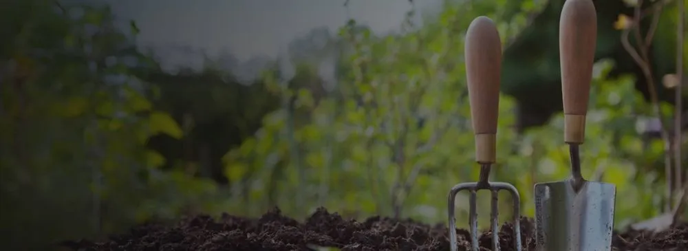 Reliable yard cleanup service in Middleburg, FL by D&H Jax Service