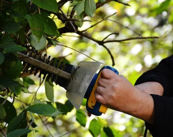 Local landscape installation for outdoor upgrades in Middleburg, FL by D&H Jax Service