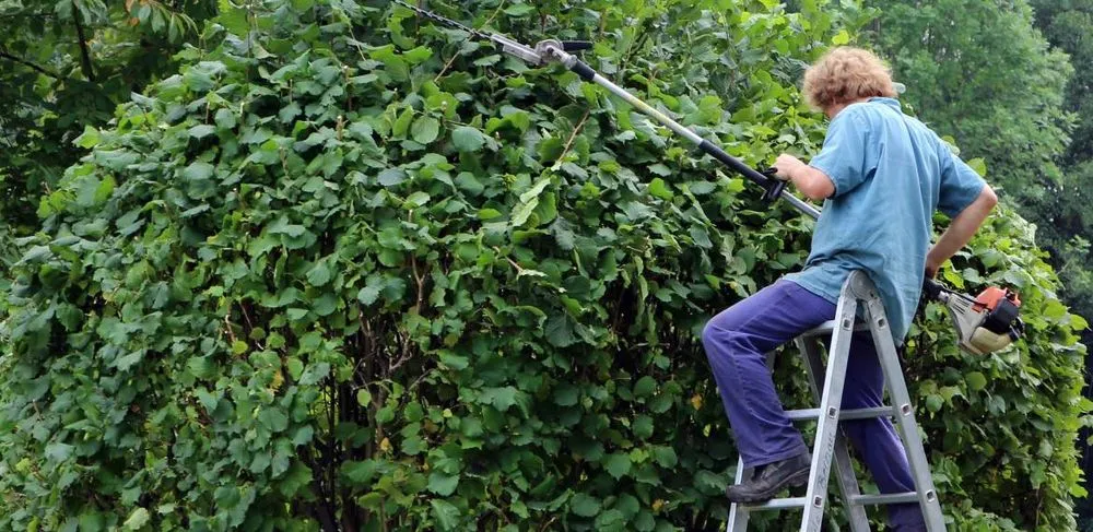 Affordable landscaping services for homes across Middleburg, FL - D&H Jax Service