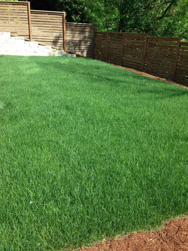 Expert yard maintenance experts serving Seattle, WA - DH Land Pros