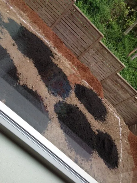 Reliable lawn mowing service for beautiful yards in Seattle, WA by DH Land Pros