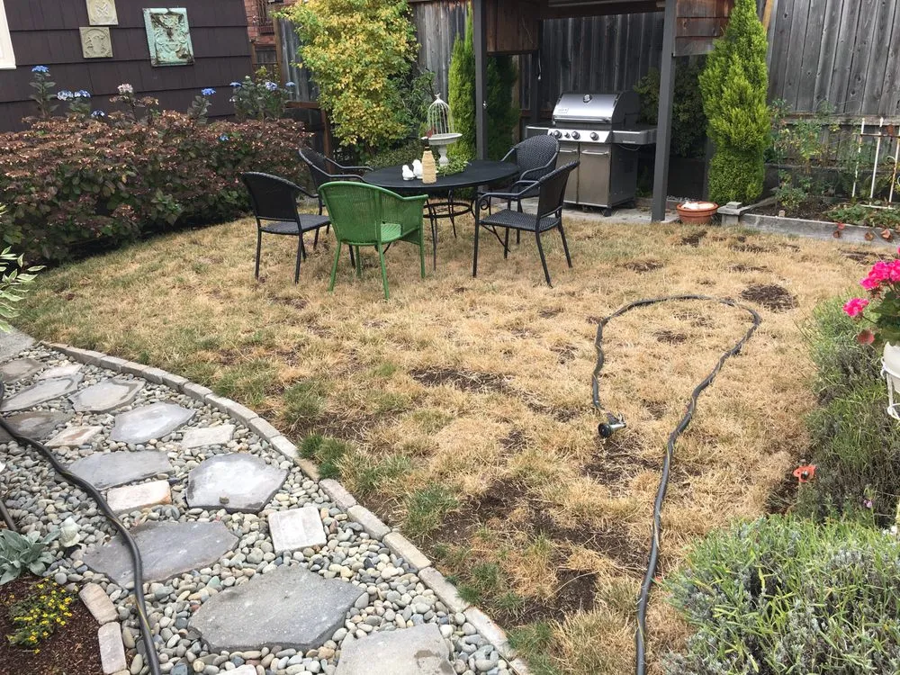 Expert garden landscaping for outdoor upgrades in Seattle, WA by DH Land Pros