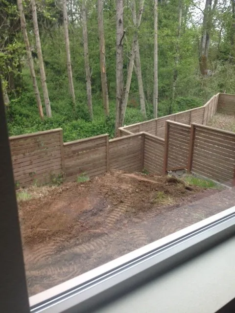 Trusted yard cleanup service near you in Seattle, WA by DH Land Pros