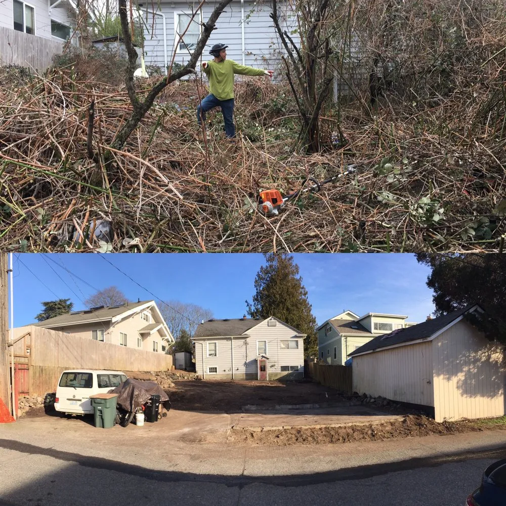 Custom yard maintenance experts serving Seattle, WA - DH Land Pros