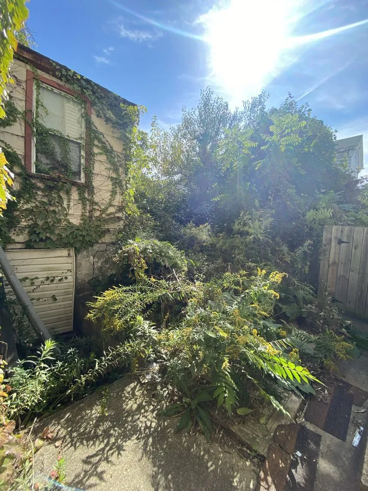 Custom yard cleanup service for outdoor upgrades across Elizabeth, PA - DH Landscape and Contracting