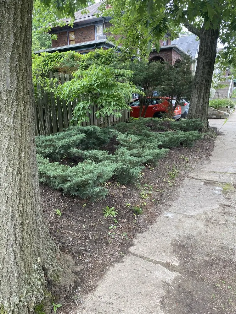 Reliable garden landscaping experts serving Elizabeth, PA - DH Landscape and Contracting