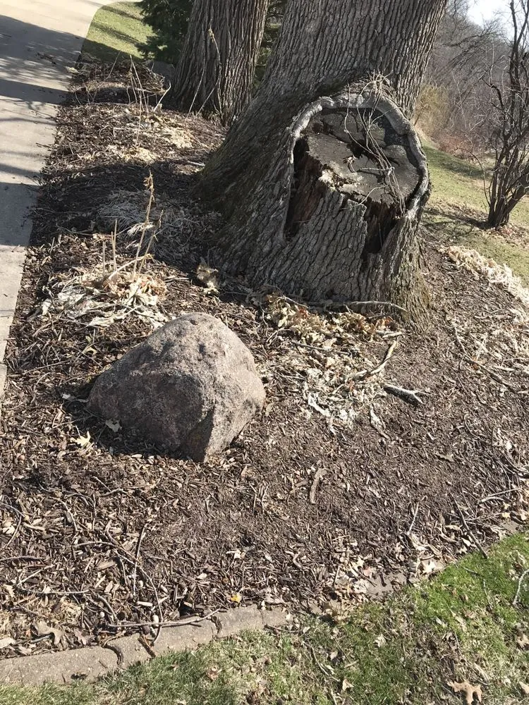 Reliable landscaping services in Rockford, IL - DH Landscape Services