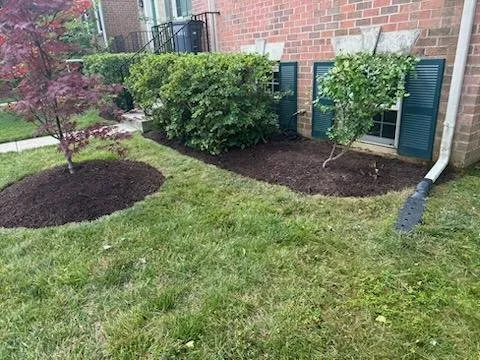 Trusted residential landscaping for year-round maintenance in Triangle, VA by DH Landscape Services