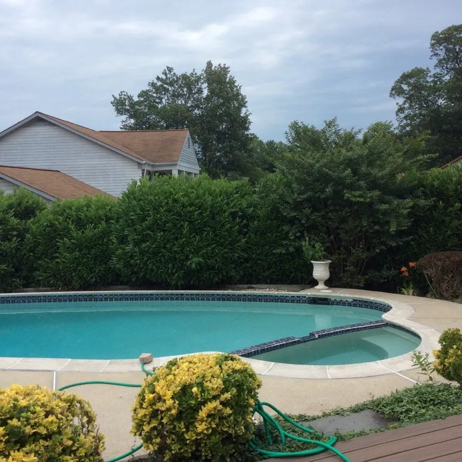 Professional yard cleanup service with custom design in Triangle, VA by DH Landscape Services