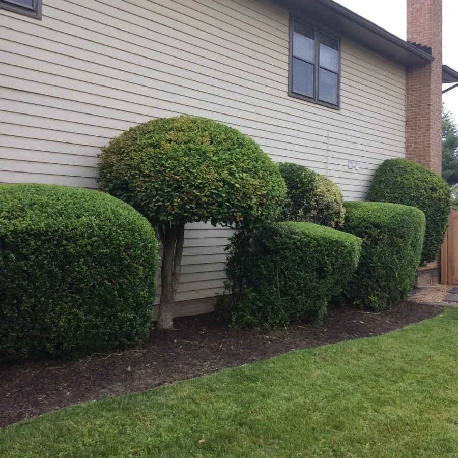 Local outdoor landscaping in Triangle, VA by DH Landscape Services