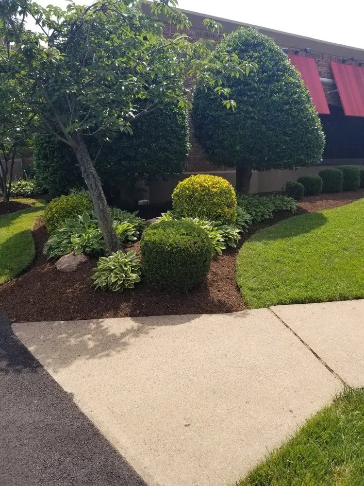 Professional landscaping services experts serving Triangle, VA - DH Landscape Services