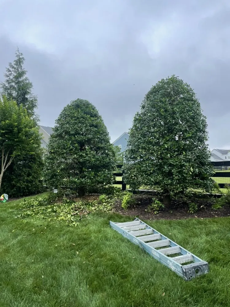 Top-rated lawn care service experts serving Aldie, VA - DH Landscapes & Site Services