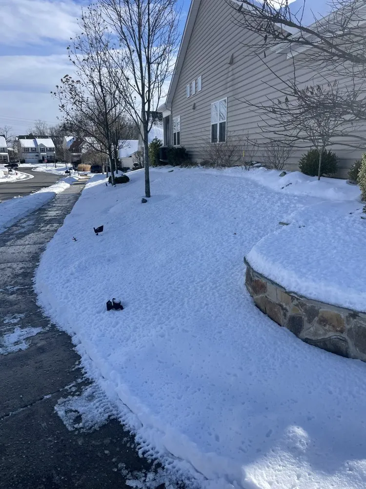 Local yard cleanup service experts serving Aldie, VA - DH Landscapes & Site Services