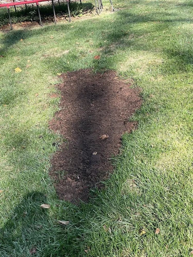 Top-rated landscape design near you in Aldie, VA by DH Landscapes & Site Services