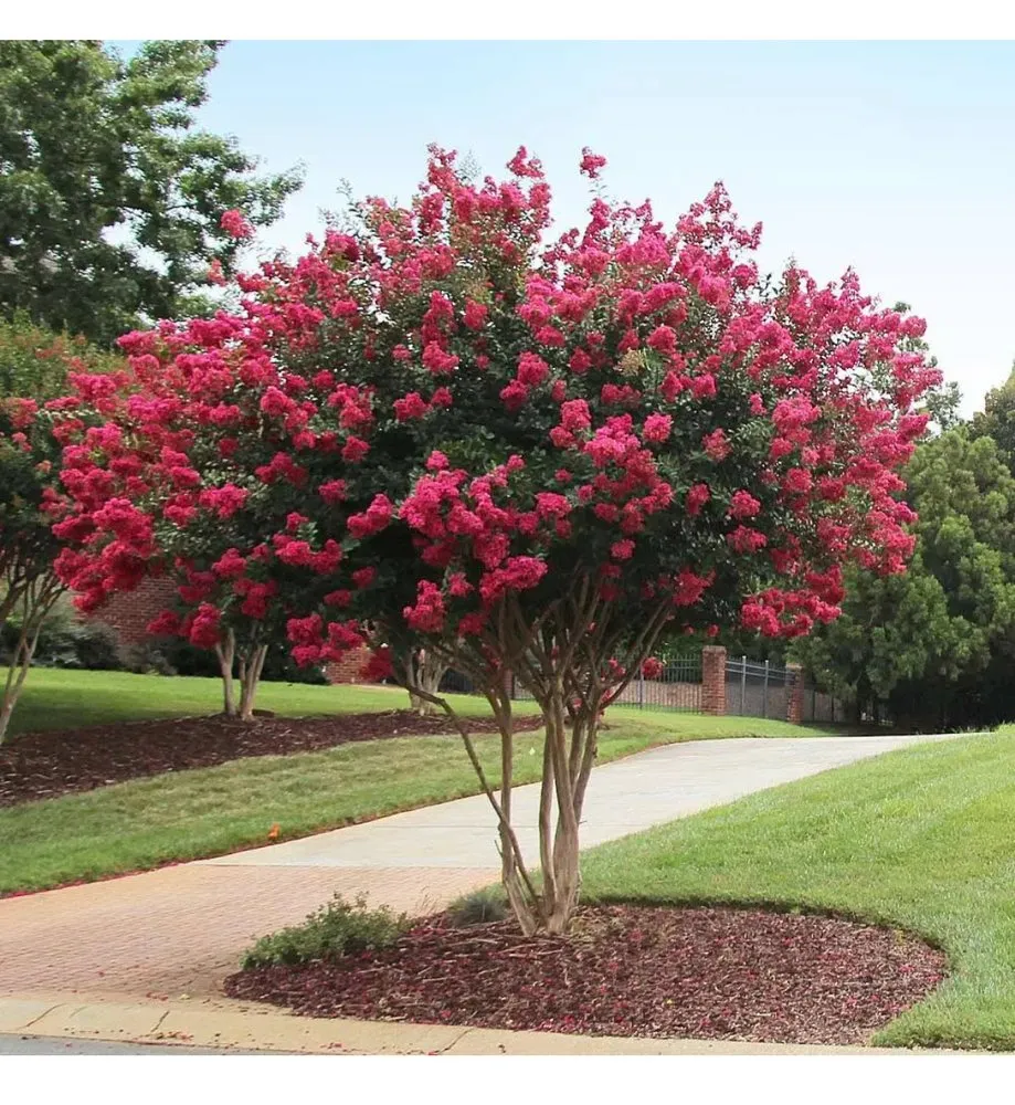 Trusted landscape design in Aldie, VA - DH Landscapes & Site Services