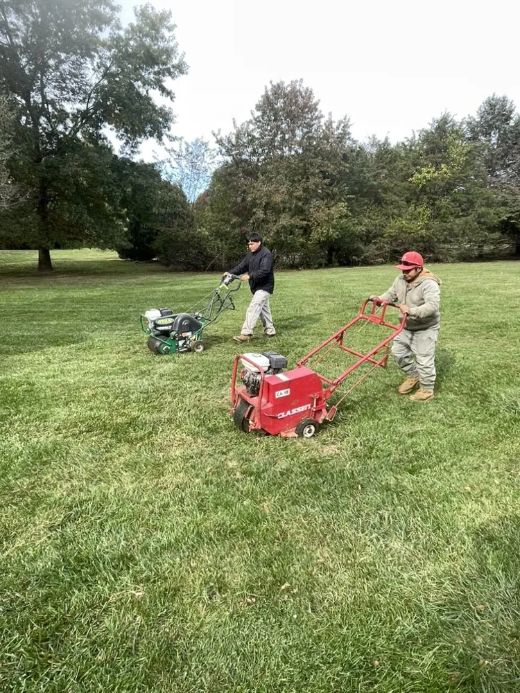 Local yard cleanup service experts serving Aldie, VA - DH Landscapes & Site Services