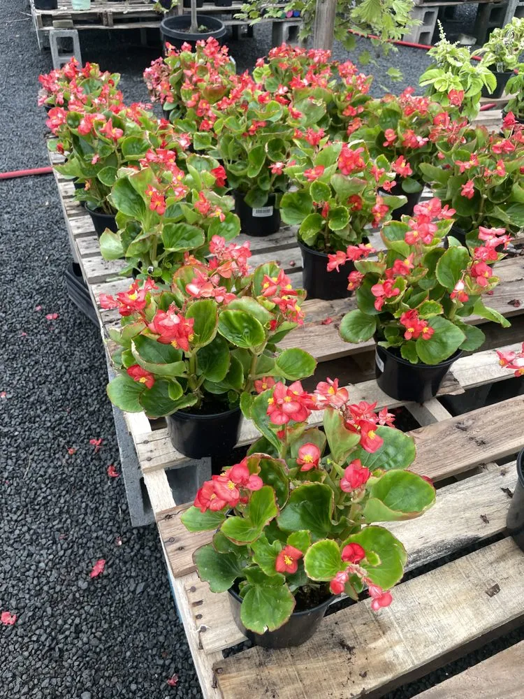 Expert yard maintenance for beautiful yards in Aldie, VA by DH Landscapes & Site Services