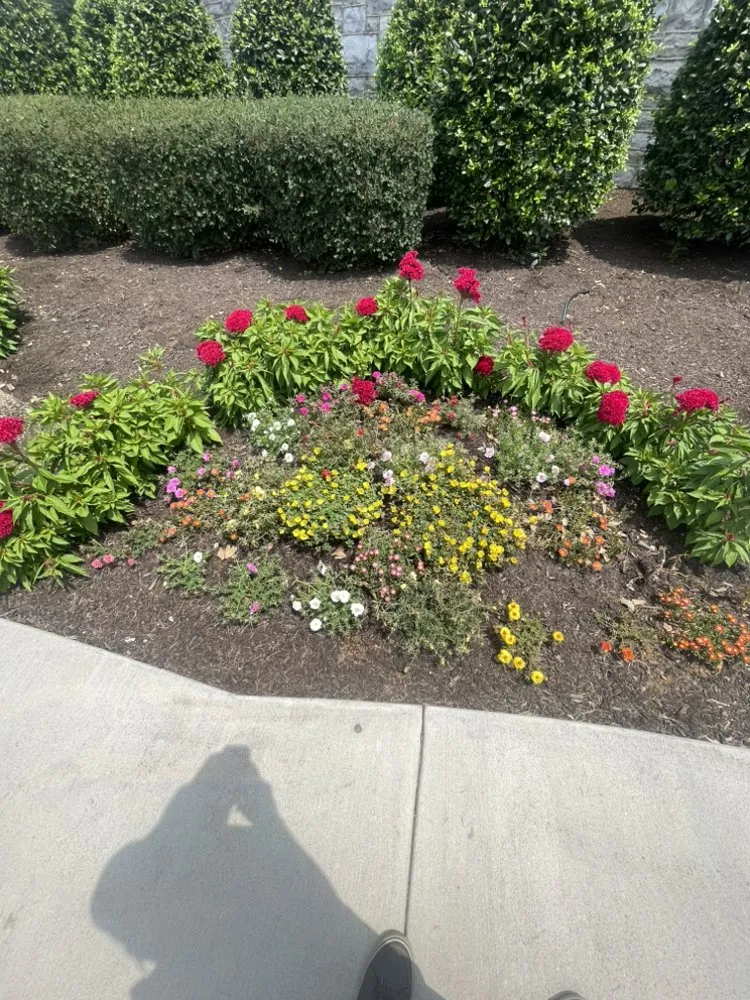 Custom yard maintenance for residential properties across Aldie, VA - DH Landscapes & Site Services