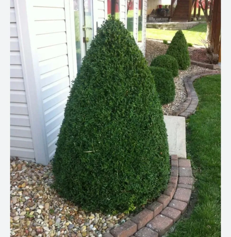 Reliable residential landscaping near you in Aldie, VA by DH Landscapes & Site Services