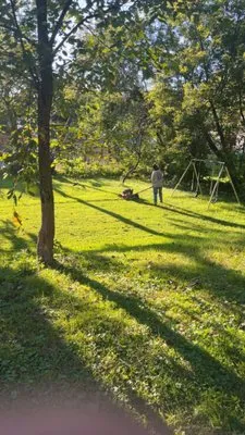 DH Landscaping and Maintenance