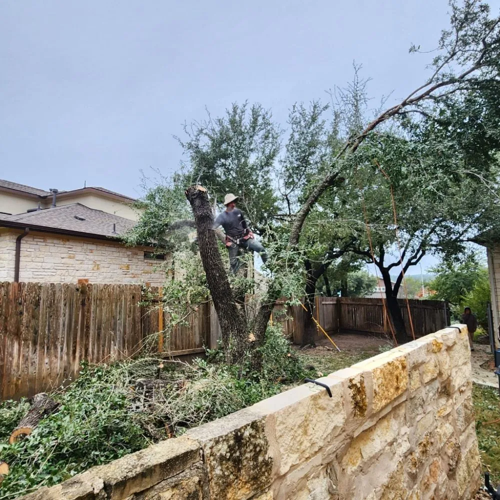Reliable residential landscaping in Austin, TX - DH Landscaping