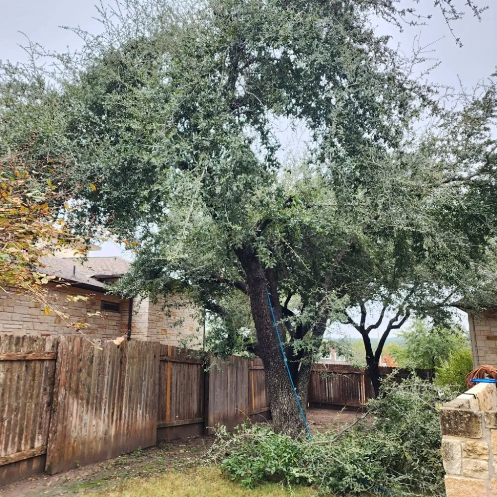 Reliable residential landscaping experts serving Austin, TX - DH Landscaping