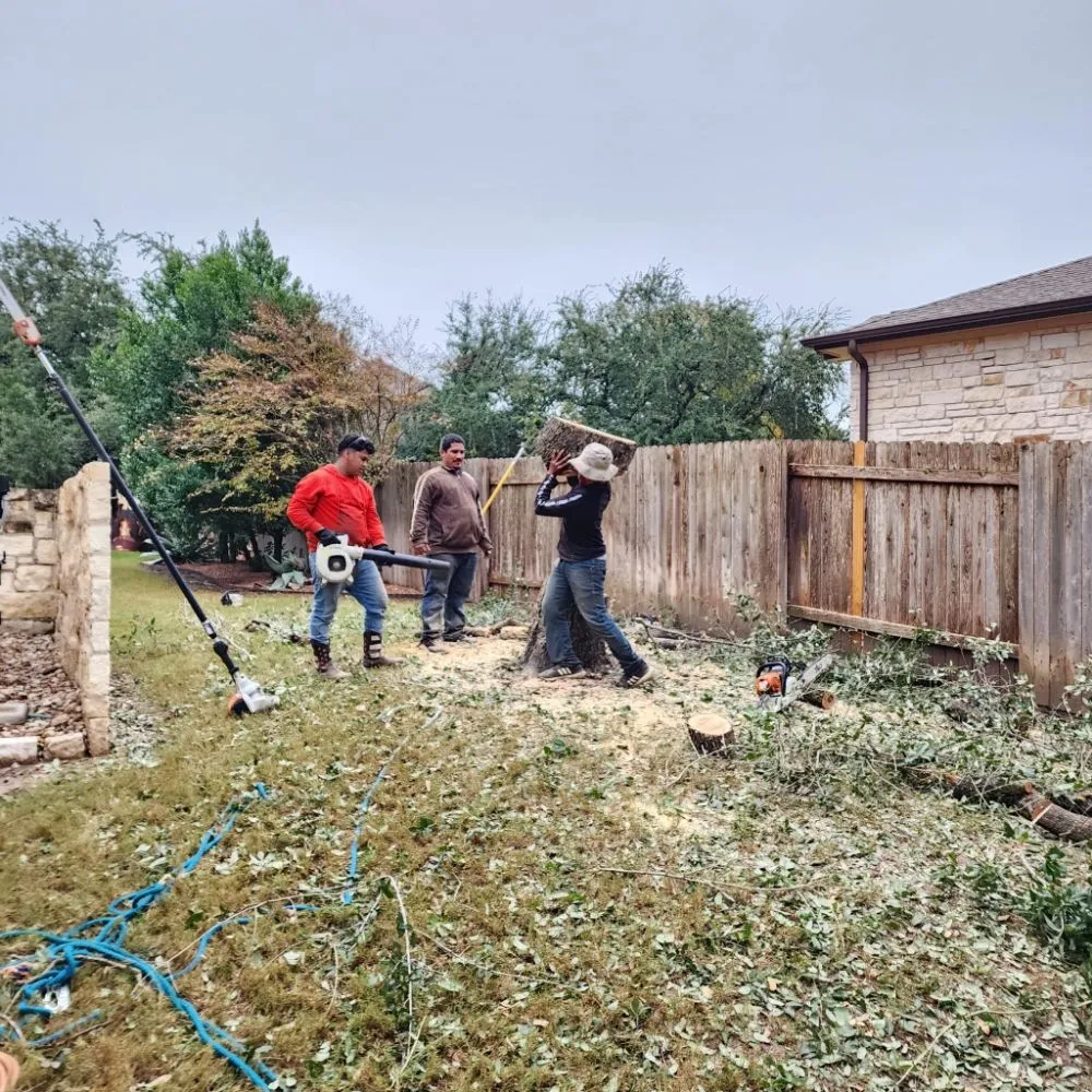 Reliable lawn care service in Austin, TX - DH Landscaping