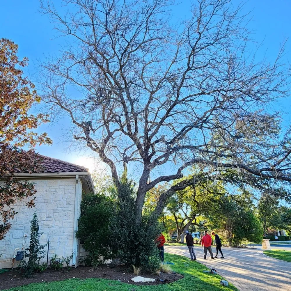 Top-rated residential landscaping in Austin, TX - DH Landscaping