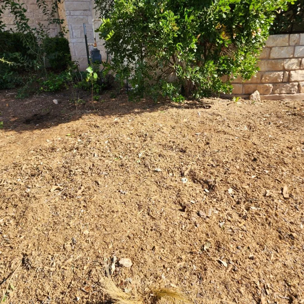 Professional lawn mowing service in Austin, TX by DH Landscaping