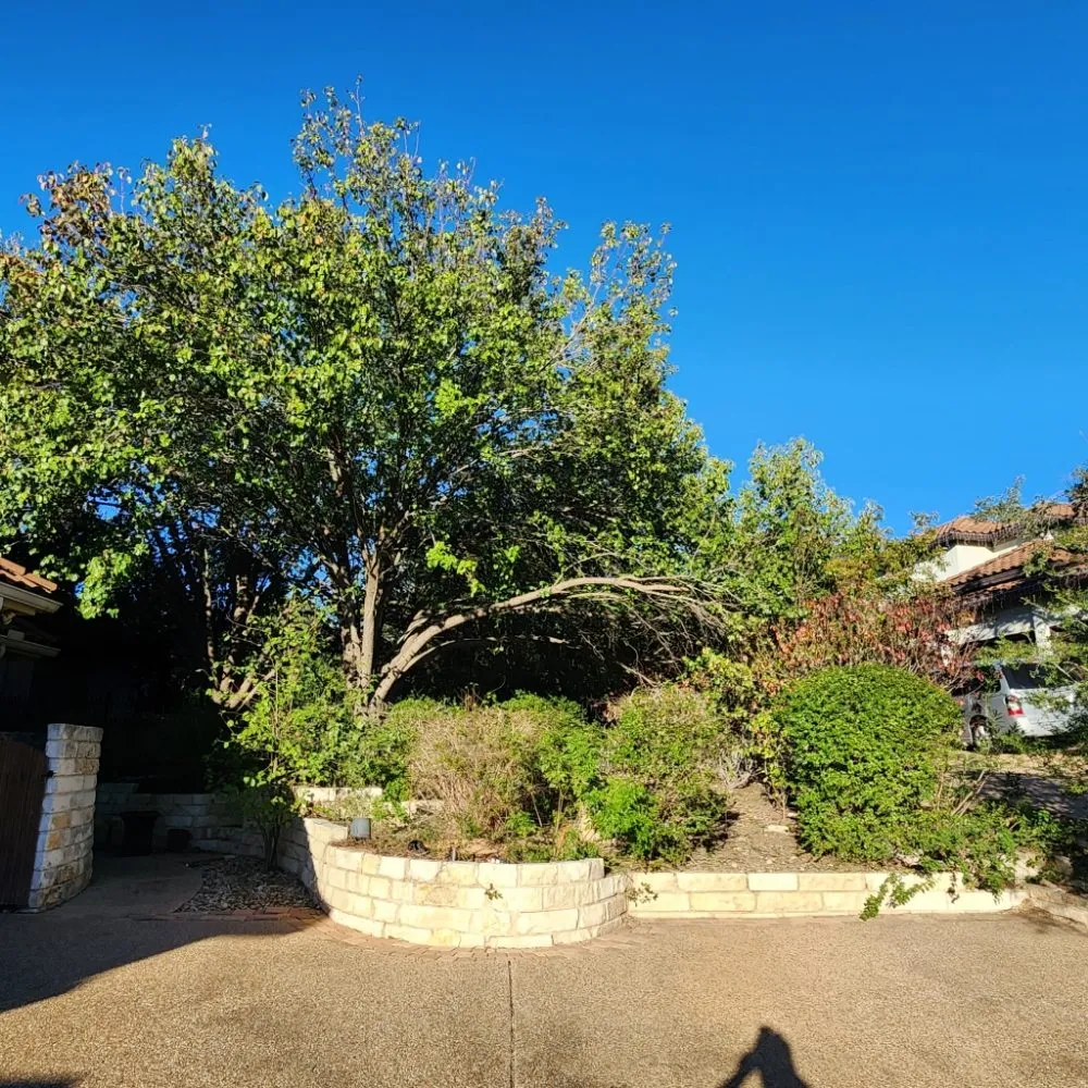 Local outdoor landscaping for year-round maintenance in Austin, TX by DH Landscaping