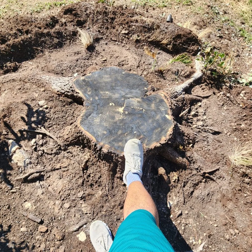 Expert yard maintenance in Austin, TX - DH Landscaping