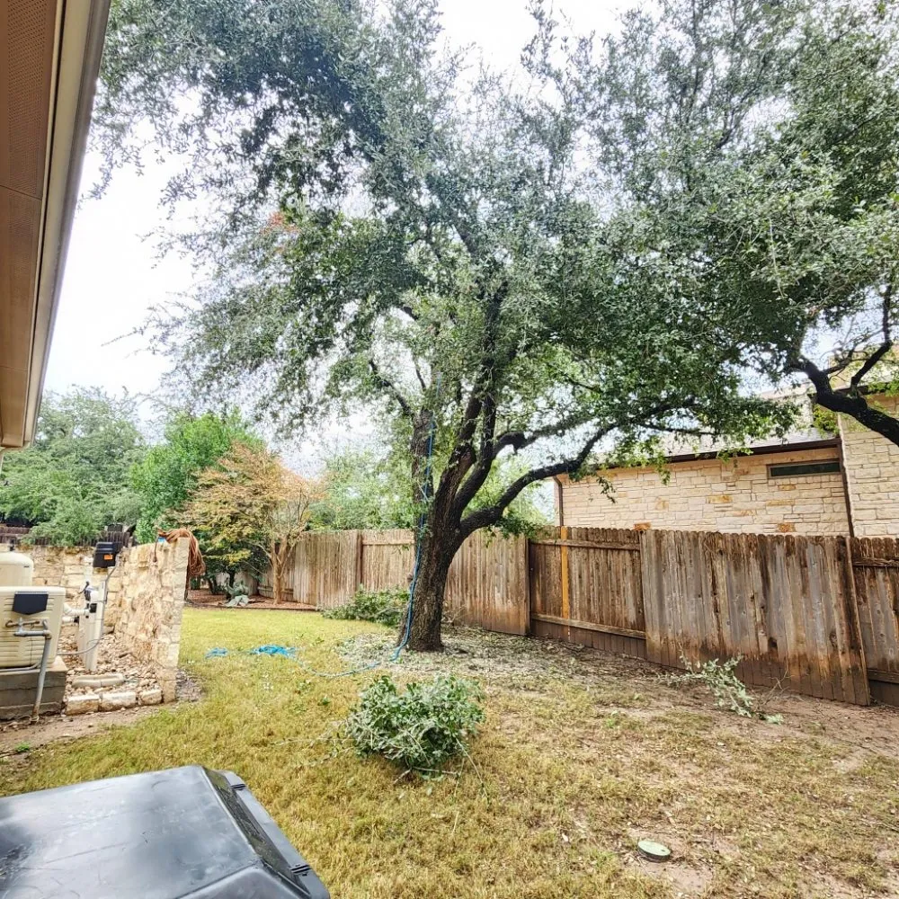 Affordable landscaping services in Austin, TX by DH Landscaping