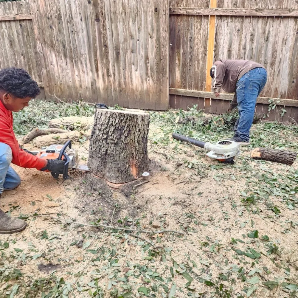 Expert landscape installation experts serving Austin, TX - DH Landscaping