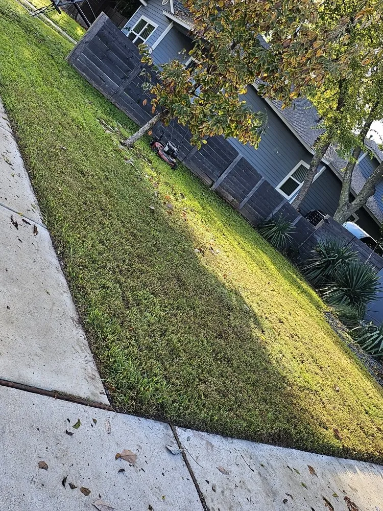 Reliable landscaping services in Austin, TX - DH Landscaping