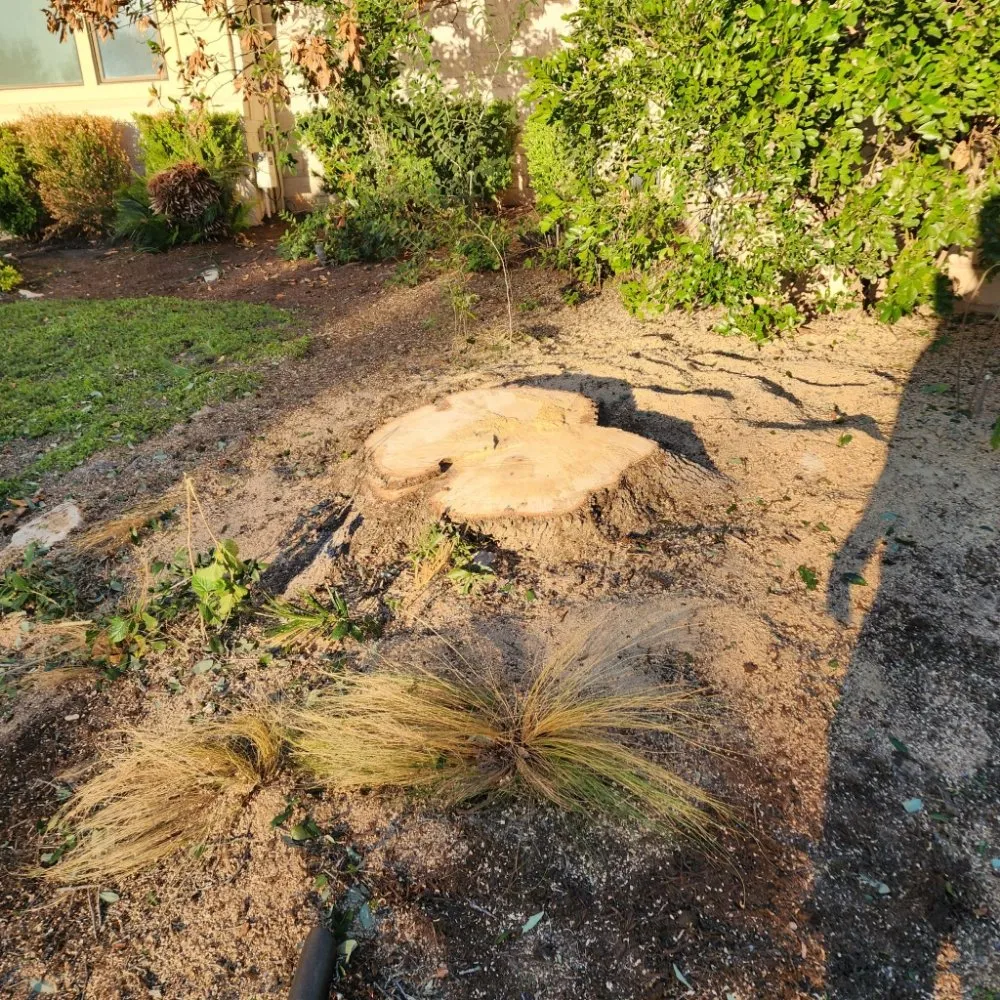 Custom landscaping services in Austin, TX - DH Landscaping