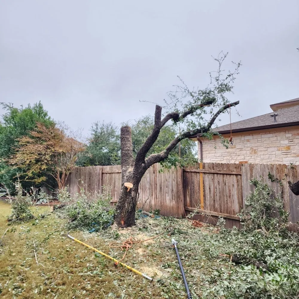 Custom landscape installation in Austin, TX by DH Landscaping