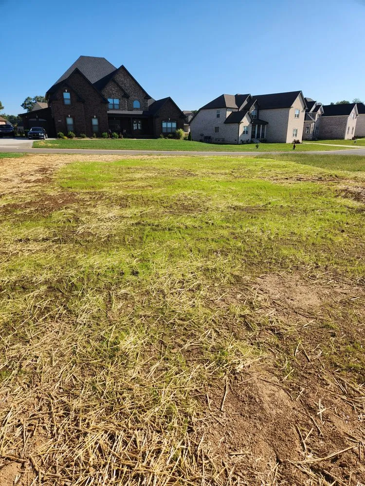 Local residential landscaping in Bowling Green, KY - DH Landscaping