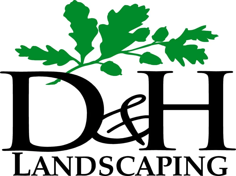Expert yard maintenance in El Sobrante, CA - D&H Landscaping