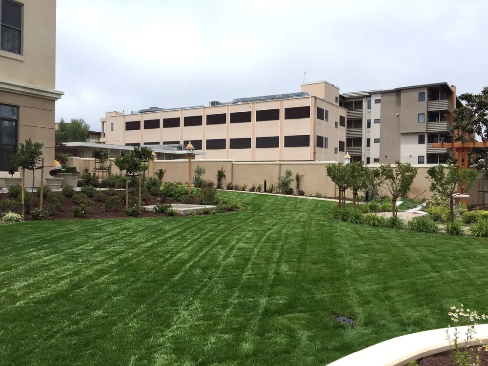 Local landscape installation experts serving El Sobrante, CA - D&H Landscaping