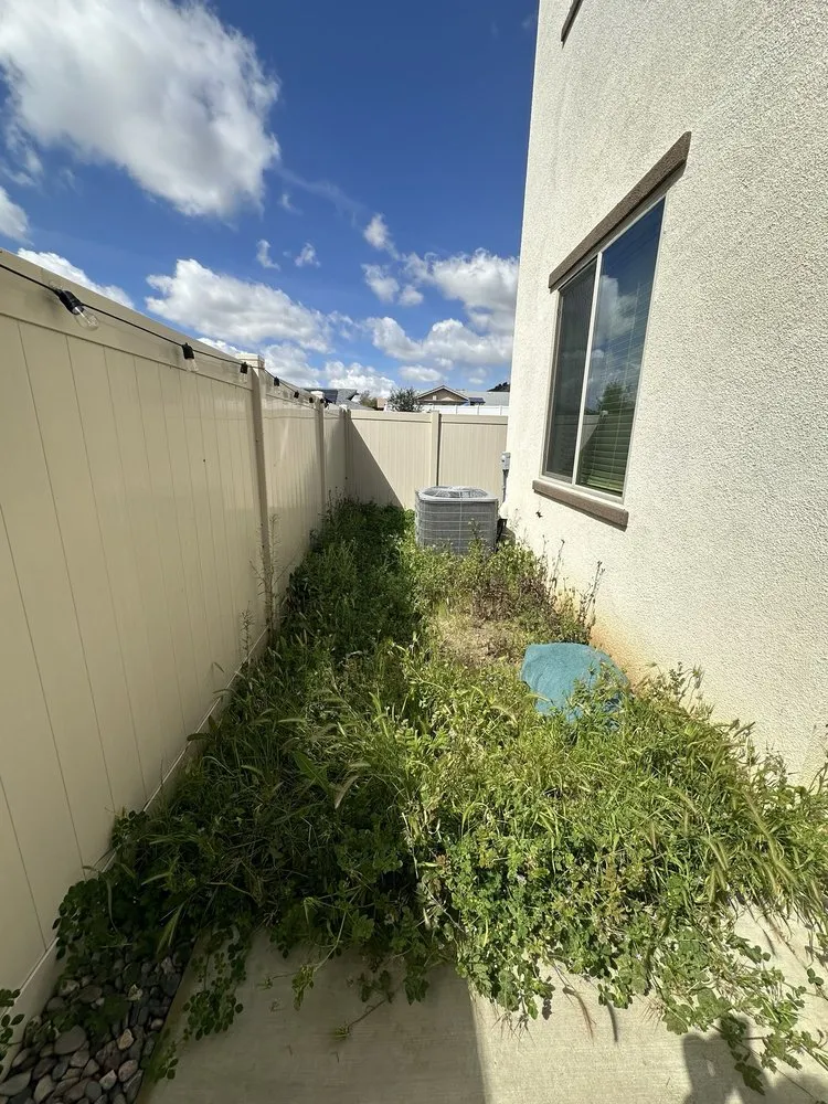 Professional outdoor landscaping experts serving San Leandro, CA - DH Landscaping