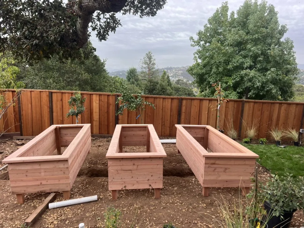 Local yard maintenance for year-round maintenance across San Leandro, CA - DH Landscaping