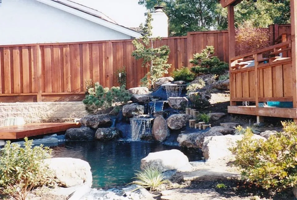 Reliable yard cleanup service in San Leandro, CA - DH Landscaping